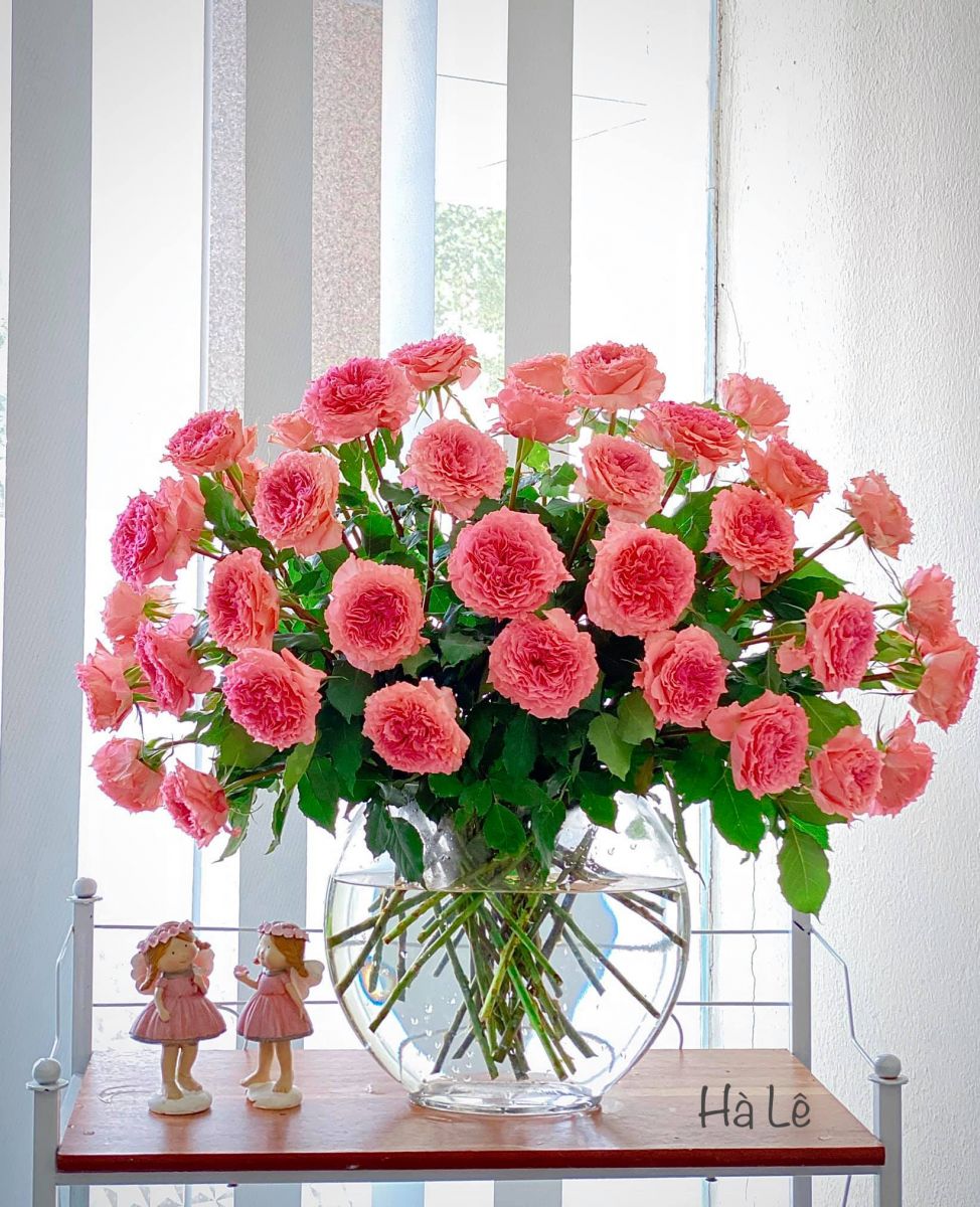 Tử vi hàng ngày 9/4/2022 của 12 cung hoàng đạo